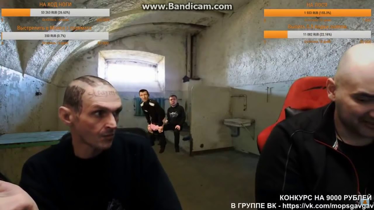 Мопс довёл Андрюху