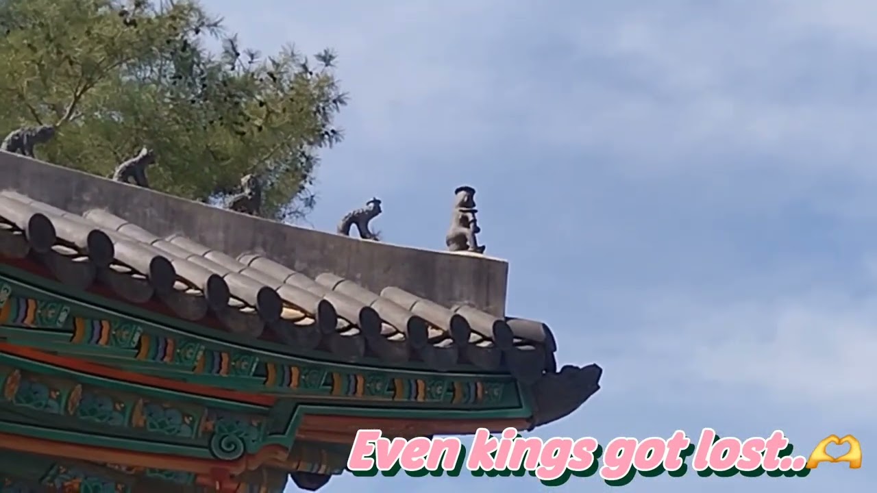  Even kings got lost :) 🫂 #seoultravel 