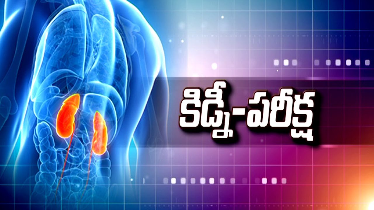 కిడ్నీ పరీక్ష ఎందుకు చేసుకోవాలి..? | Dr. Sree Bhushan Raju | Medicines Causing Kidney Diseases
