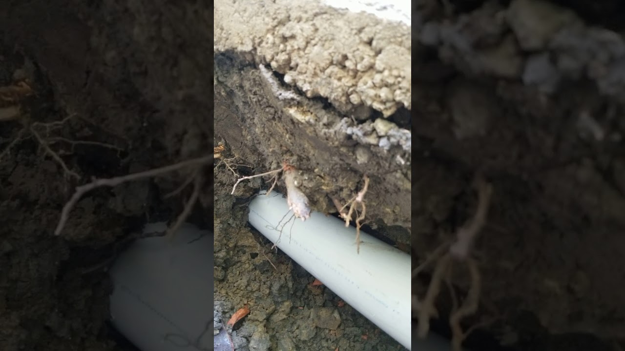R8 pipebursting system, trenchless sewer lateral replacement using Roddie Inc equipment