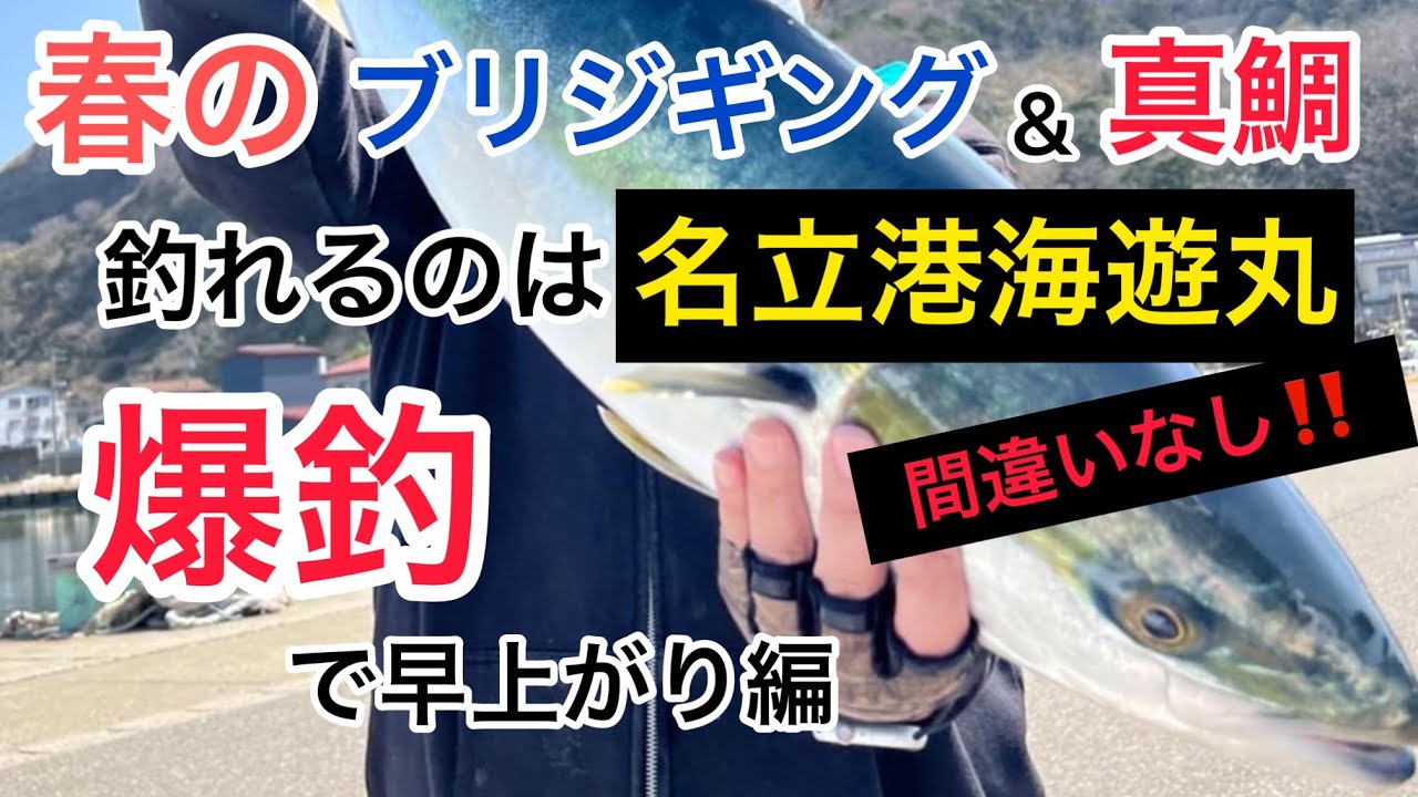 新潟県名立港【海遊丸】で春の【真鯛】&【ブリジギング】