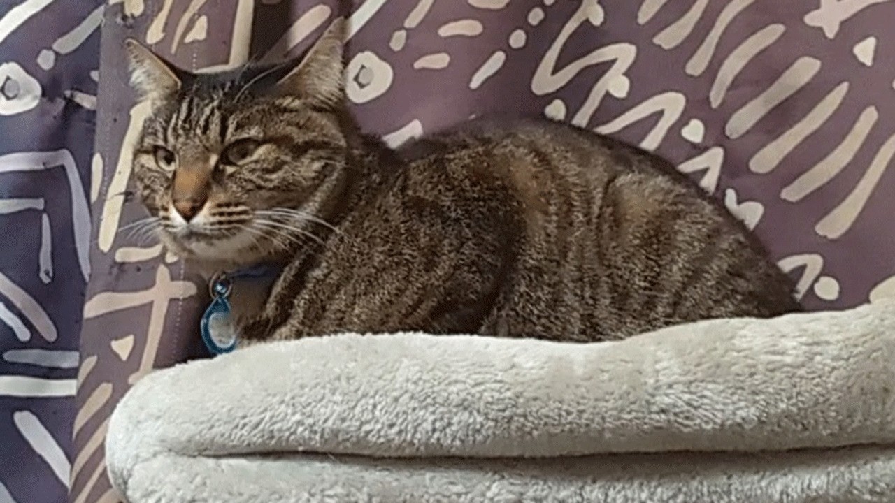 鬼刑事ボレロの張り込み