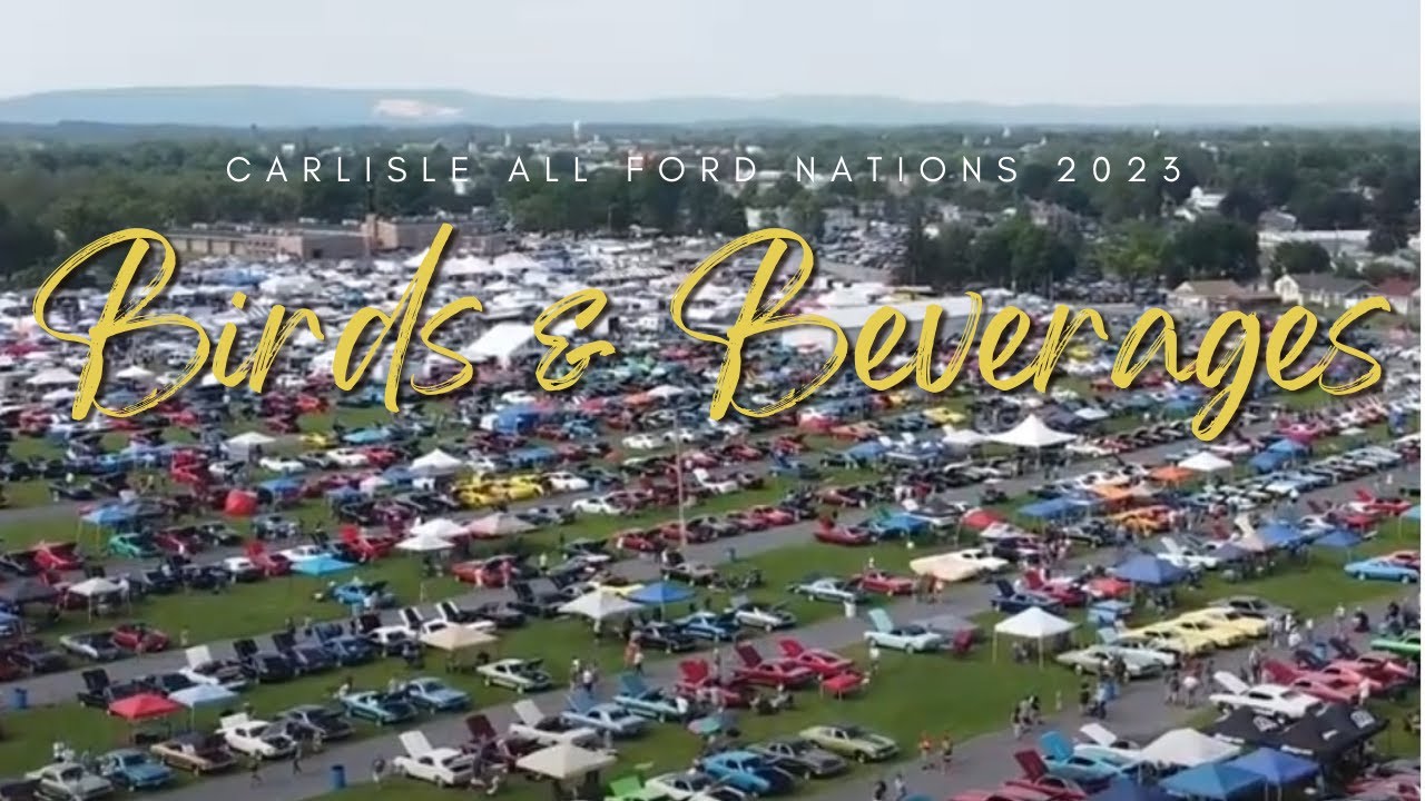 Ford Thunderbird Owner Conversations - Carlisle All Ford Nationals - 