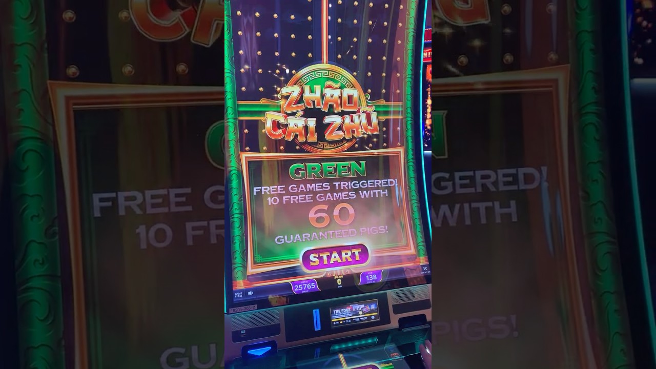 MAXXED Zhao Cai Zhu GREEN Bonus 60 PIGS! Let’s win! 🚀