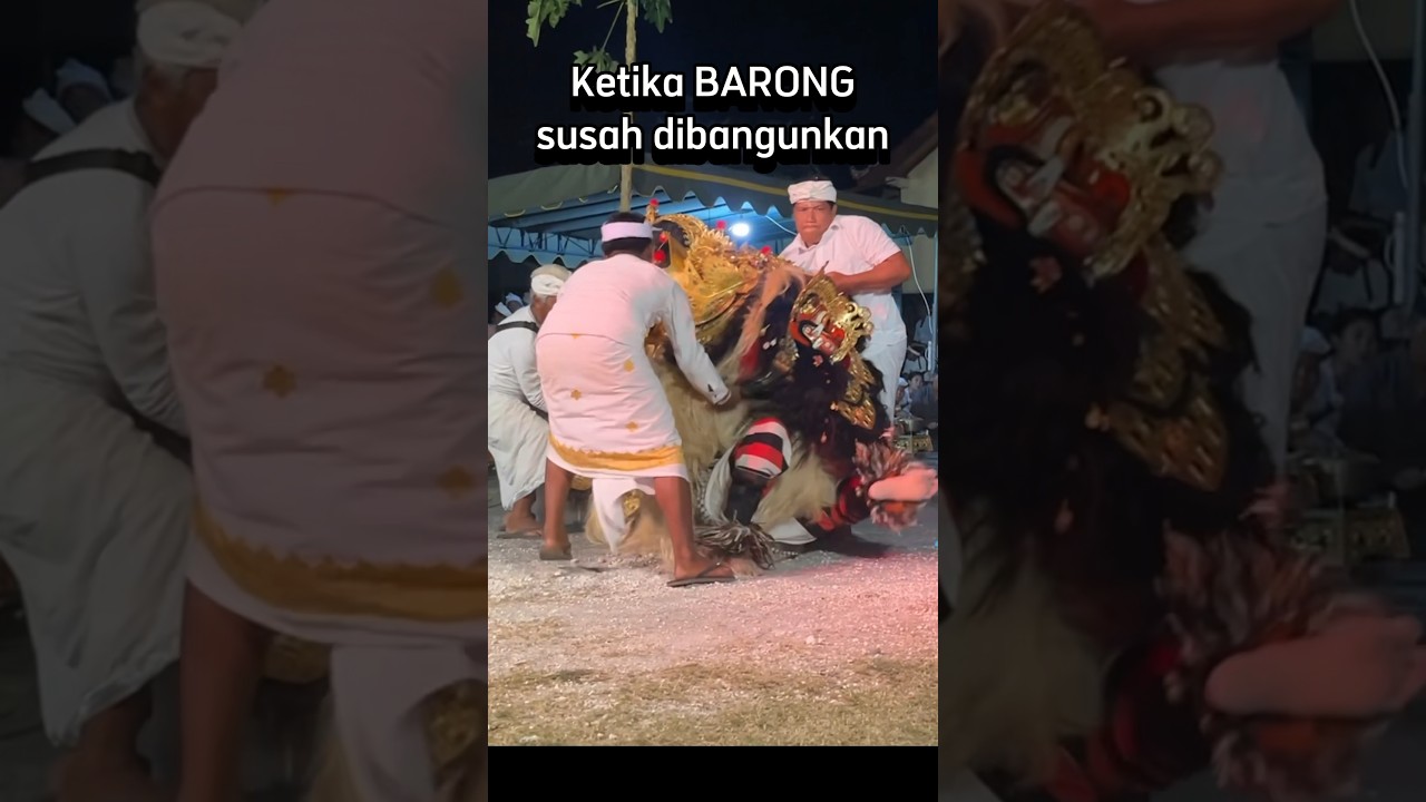 Dibantu banyak orang #calonarang #balineseculture #balinesetradition