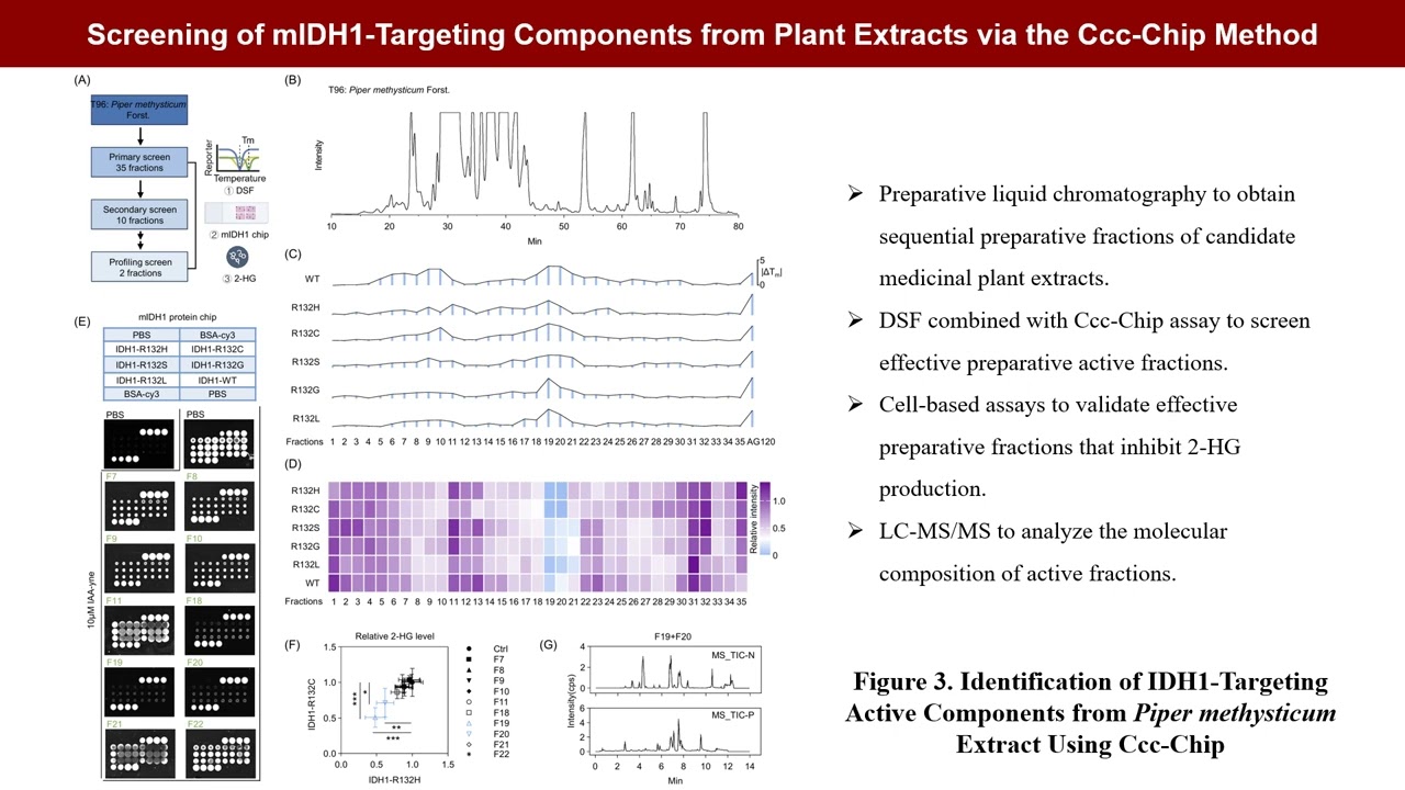 iMeta | Clickable protein microarray for discovering covalent mIDH1 inhibitors from natural extracts