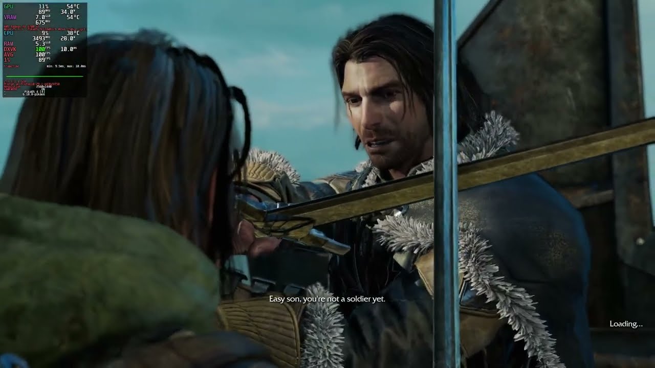 Shadow of Mordor works great on linux rx 6700 xt 1440p