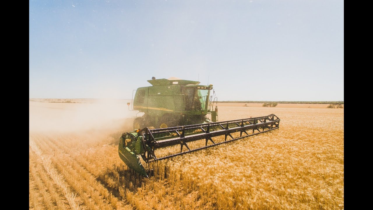 Harvest 2018 - Perenjori, WA