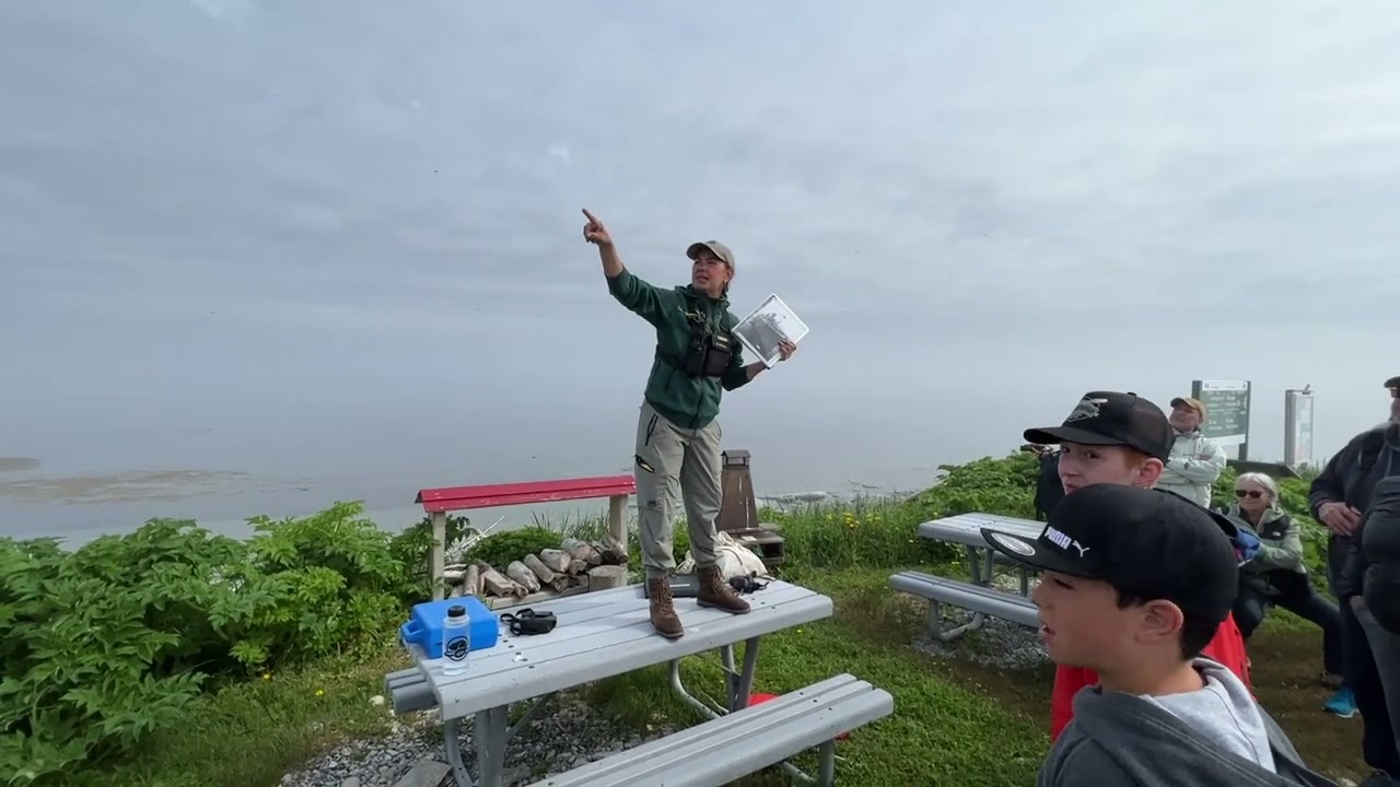 Jeep Trip Quebec Fin 138 - Ep.  7 - Longue-Pointe-de-Mingan -  Îles de Mingan