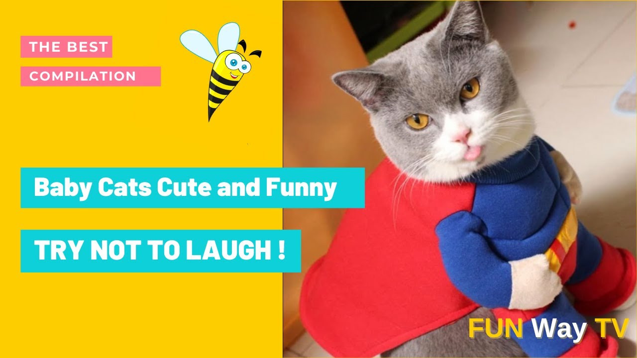 Baby Cats 😺 Cute and Funny 😹 | Cat Videos Compilation  2021 HD