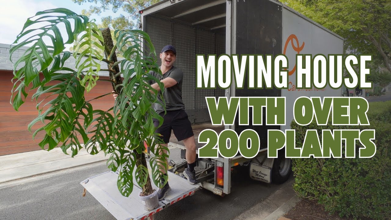 Moving House with HUGE PLANTS (Moving Vlog Part 2)