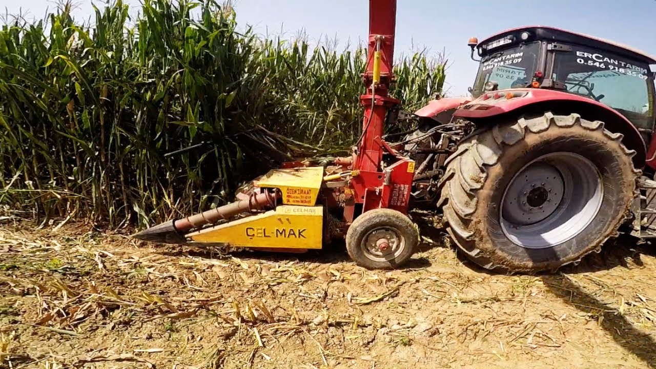 Sıra Bağımsız 3 Sıra Silaj Makinasi