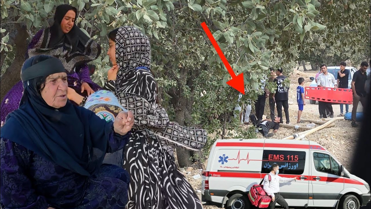 The Power of Unity in the Grandmother's Family: The Mission to Save the Nomadic Family