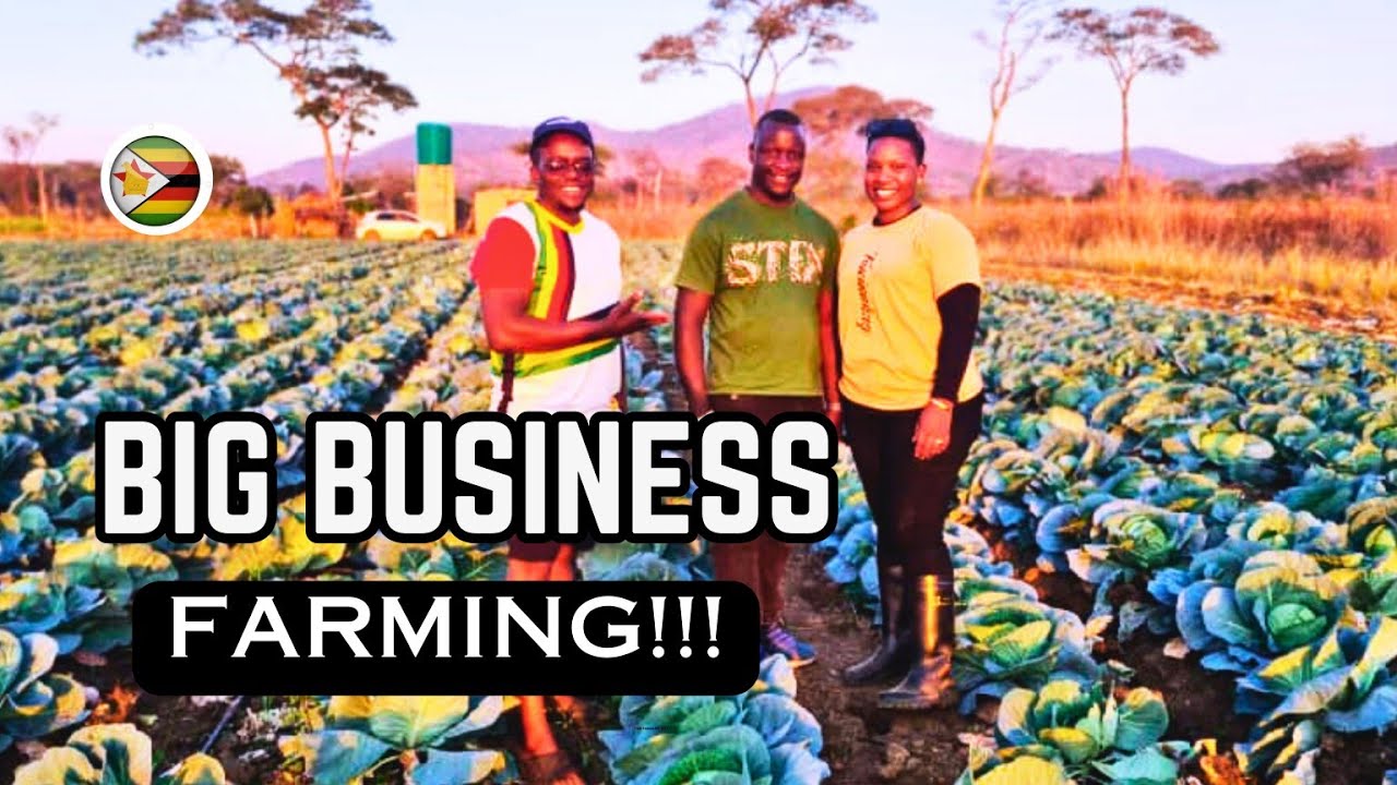 I met the NEWEST Farmers in Glendale, Zimbabwe