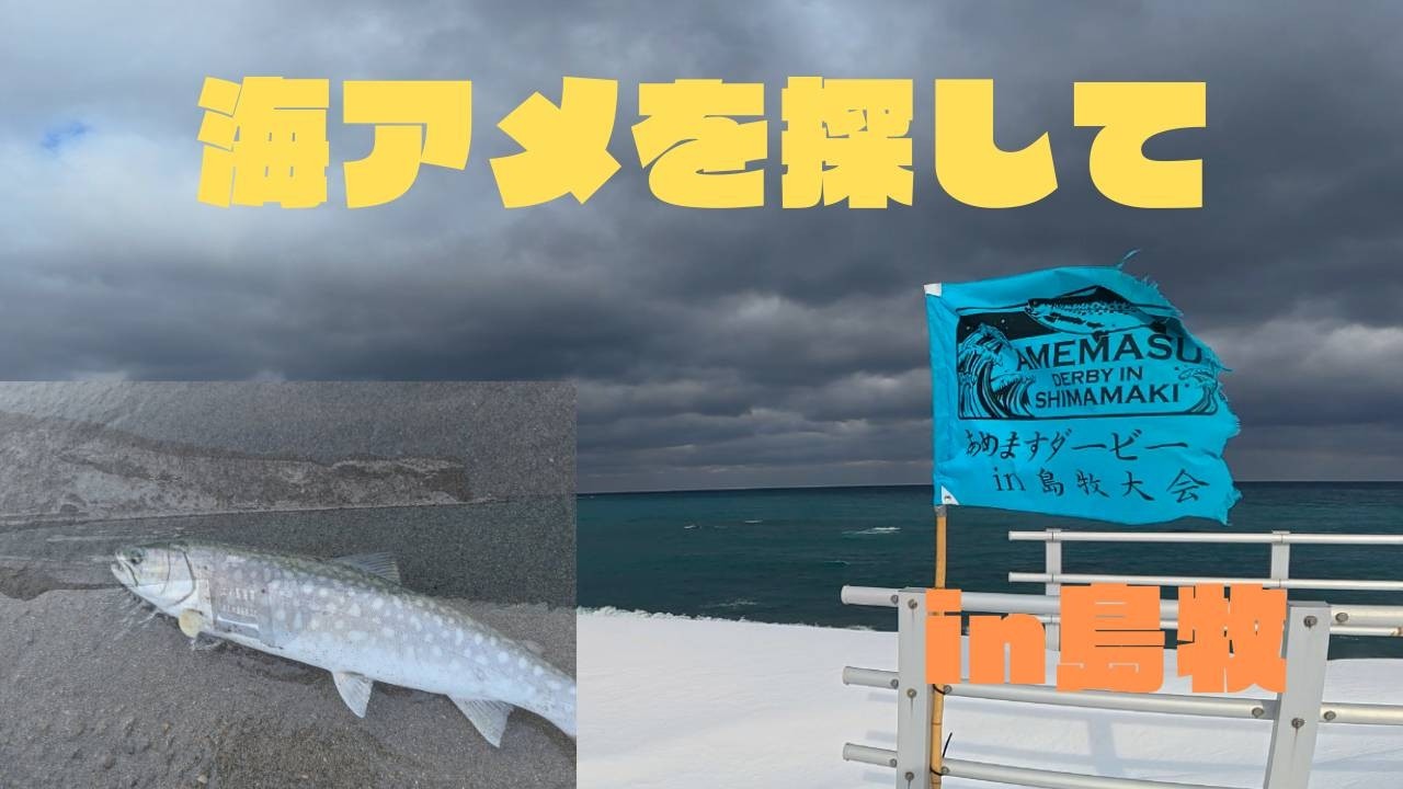 【海アメ】島牧と海アメと私【北海道釣り】