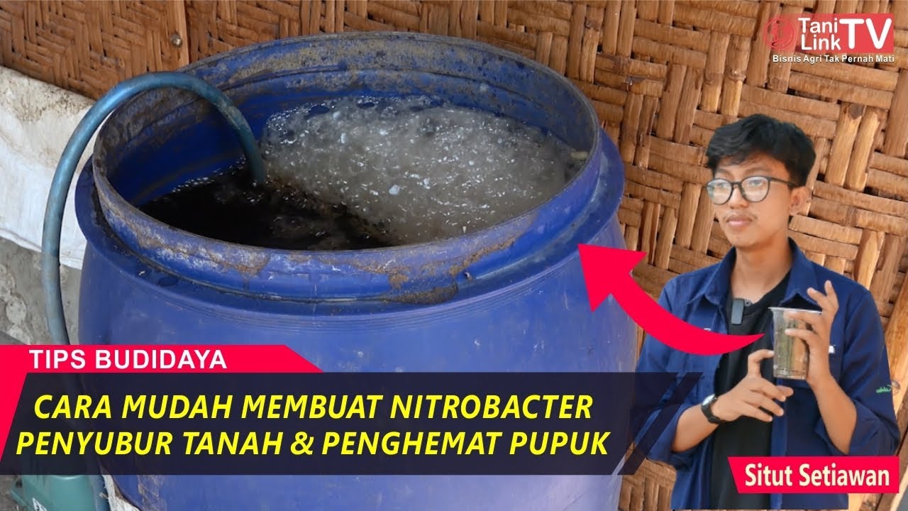 Cara Mudah dan Murah Membuat Bakteri Pengikat Nitrogen Penyubur Tanah