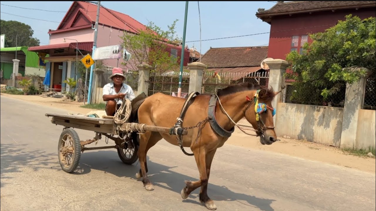 Village Life in Countryside. Cambodia