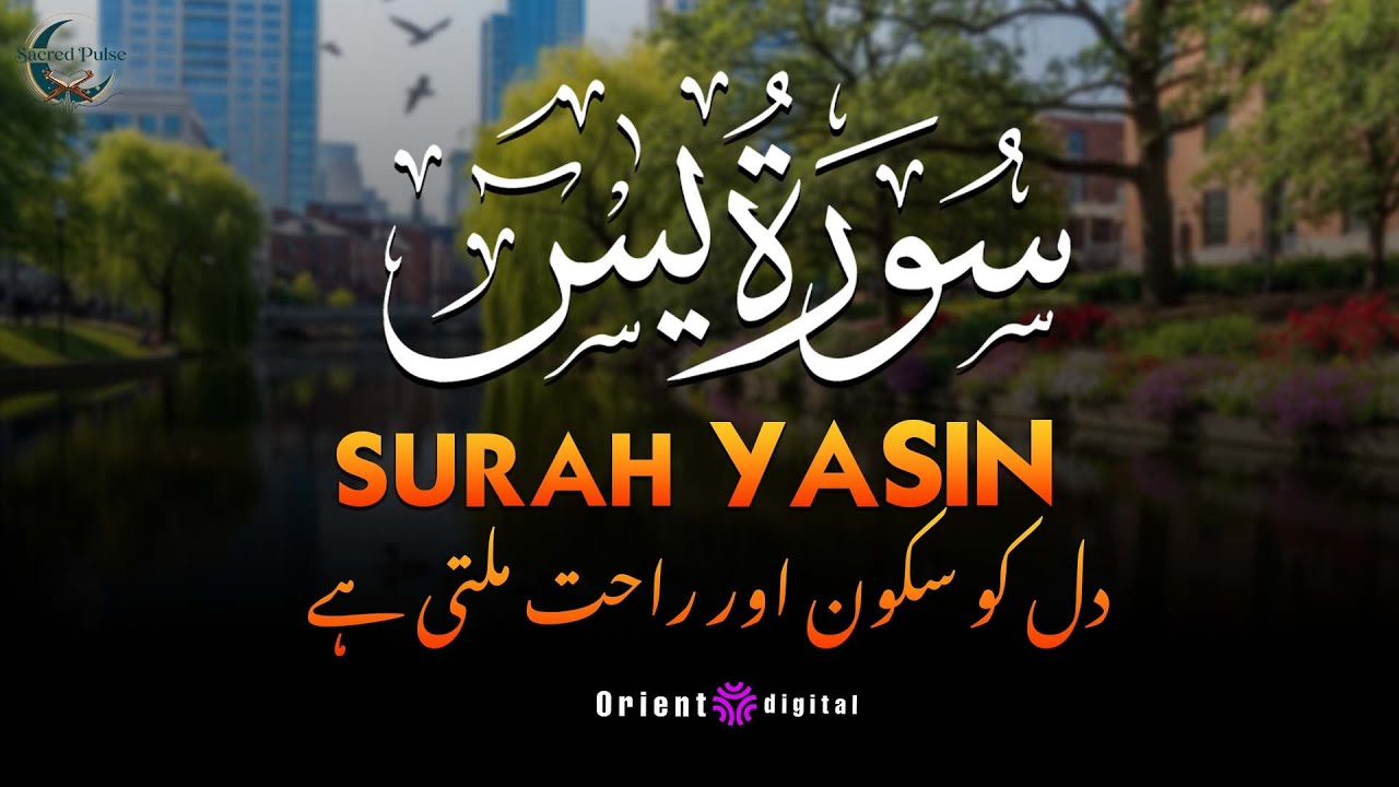 Surah Yaseen with Urdu & Hindi Translation | Beautiful Quran Tilawat by Sheikh Omar Qraitna | اردو