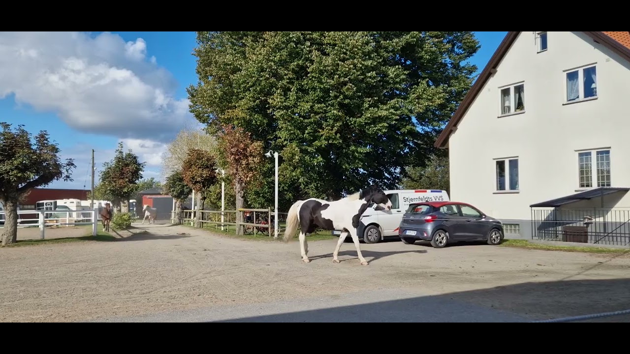 #visitinghorse 