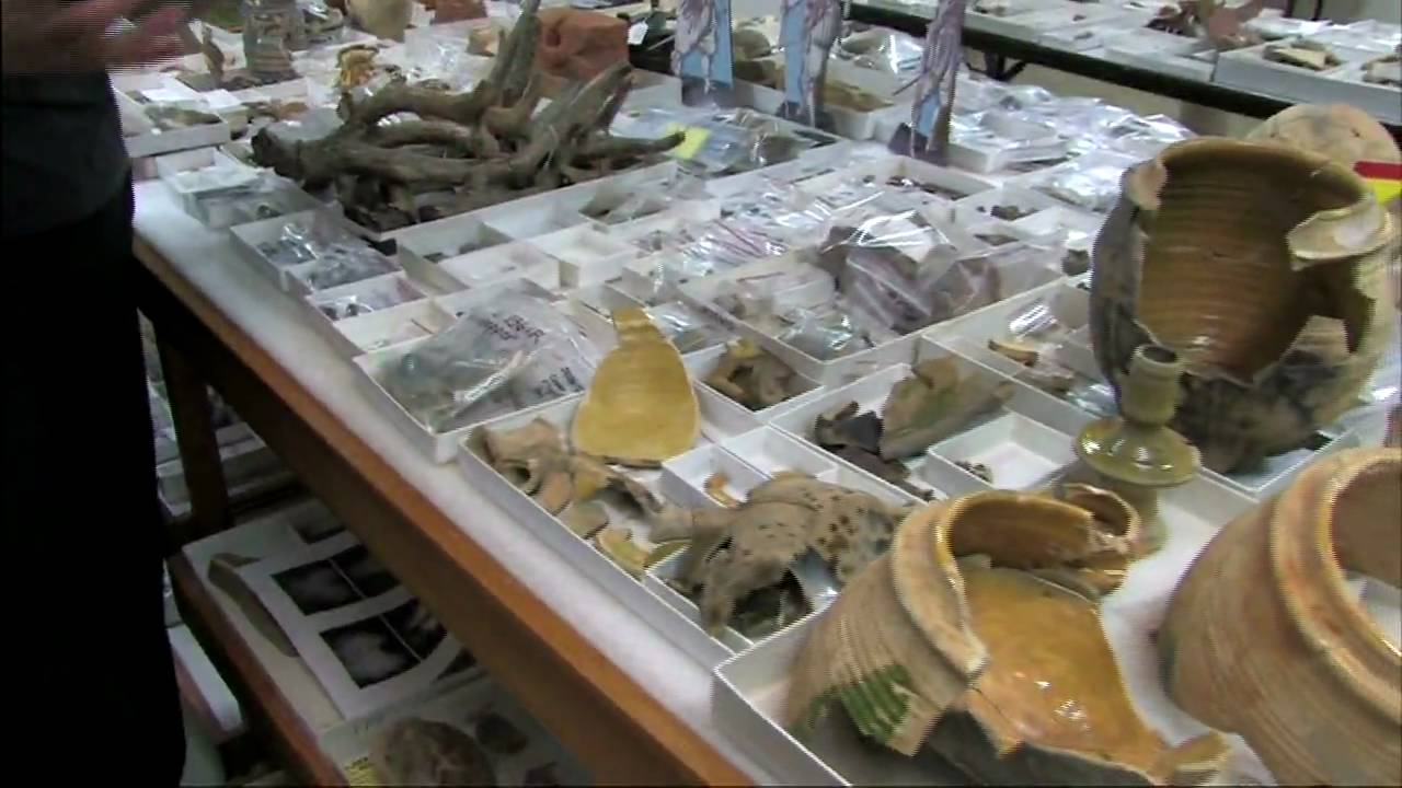 Jamestown Archaeology Lab Tour