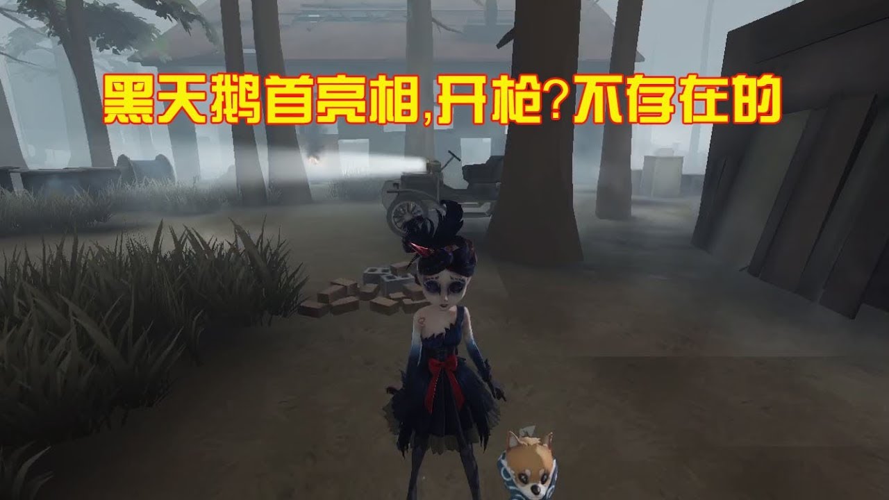 第五人格：黑天鹅首亮相，和导演羽毛开黑，枪都没机会开就赢了！