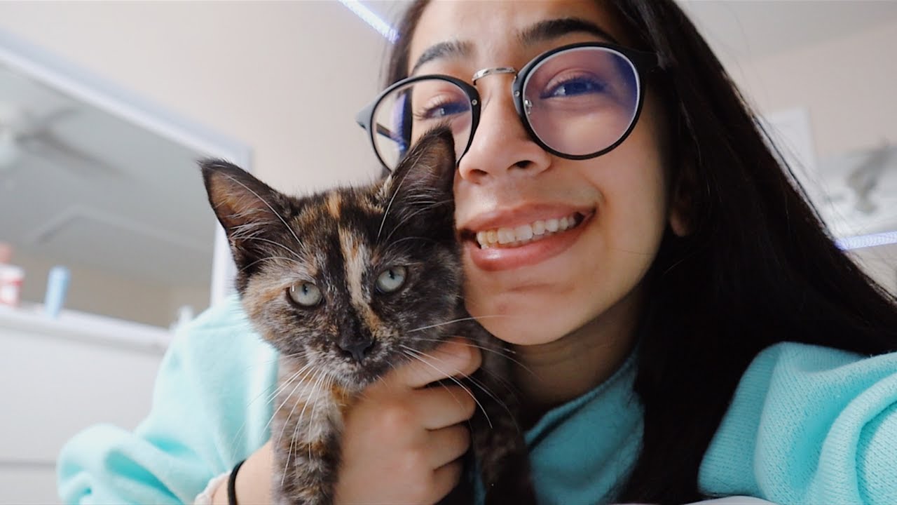 ADOPTING A KITTEN + pet supplies haul!!