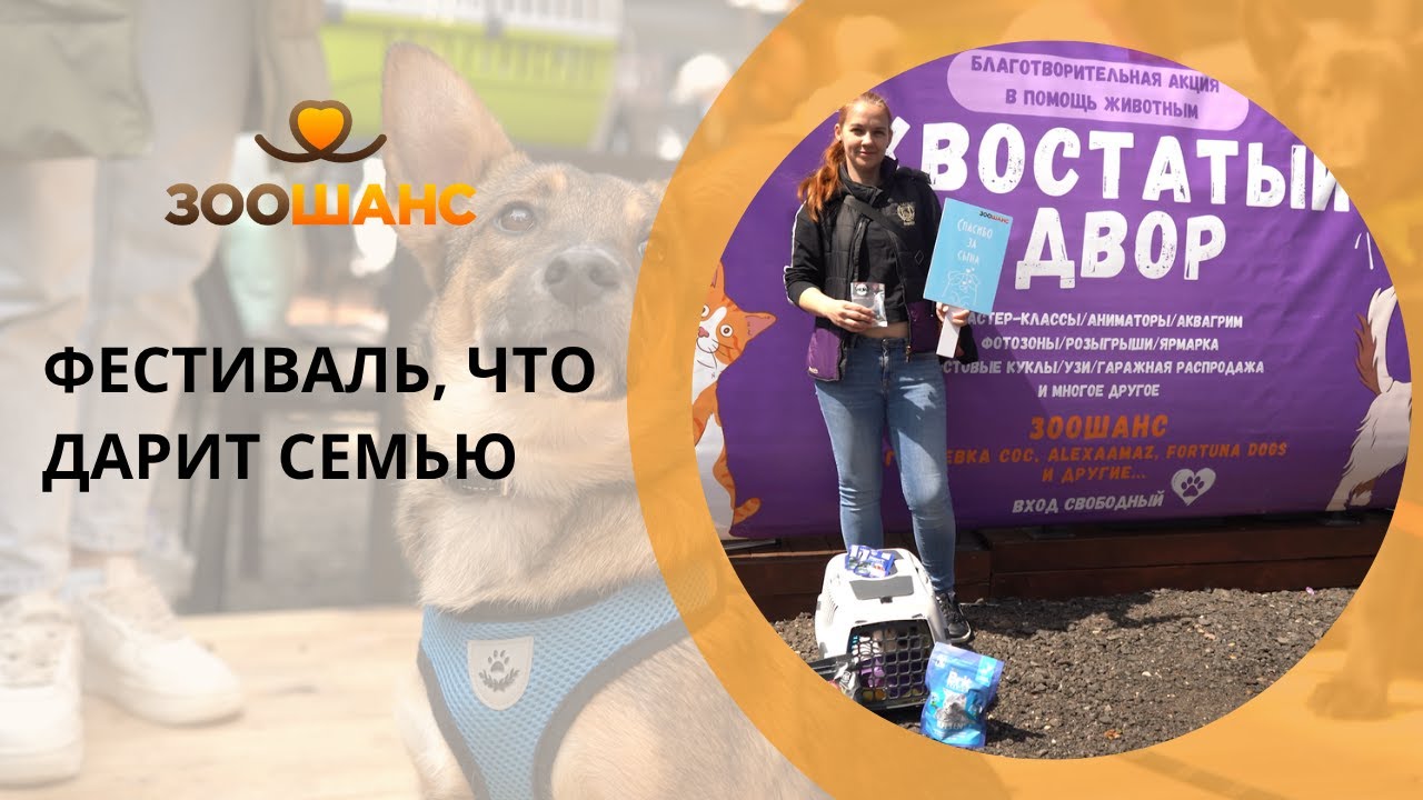 Хвостатый двор: как это было