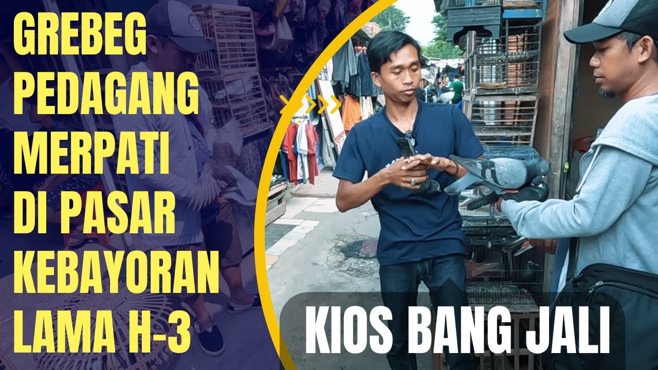 BELI MERPATI HARGA 200 RIBU DI PASAR KEBAYORAN LAMA DI AKHIR RAMADHAN