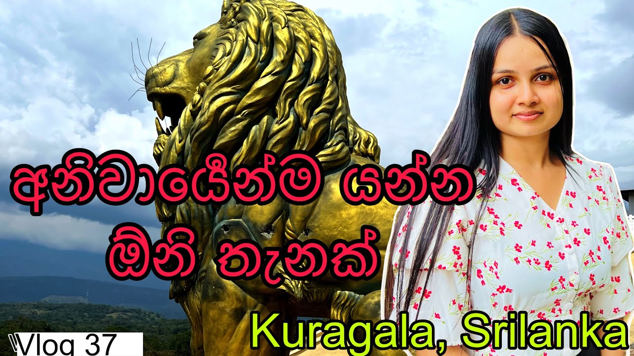 මෙච්චර ලස්සන තැන් | Kuragala Royal Temple | Balangoda | Visit Srilanka | @WolfyVlogs