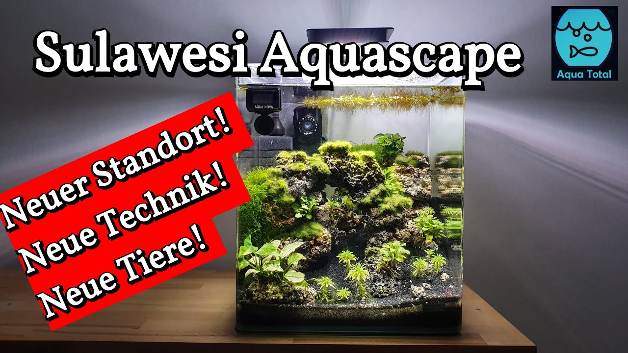 Teil 9 Sulawesi Aquascape Aquarium für Kardinalsgarnelen - Update - Neue Technik - Neuer Standort