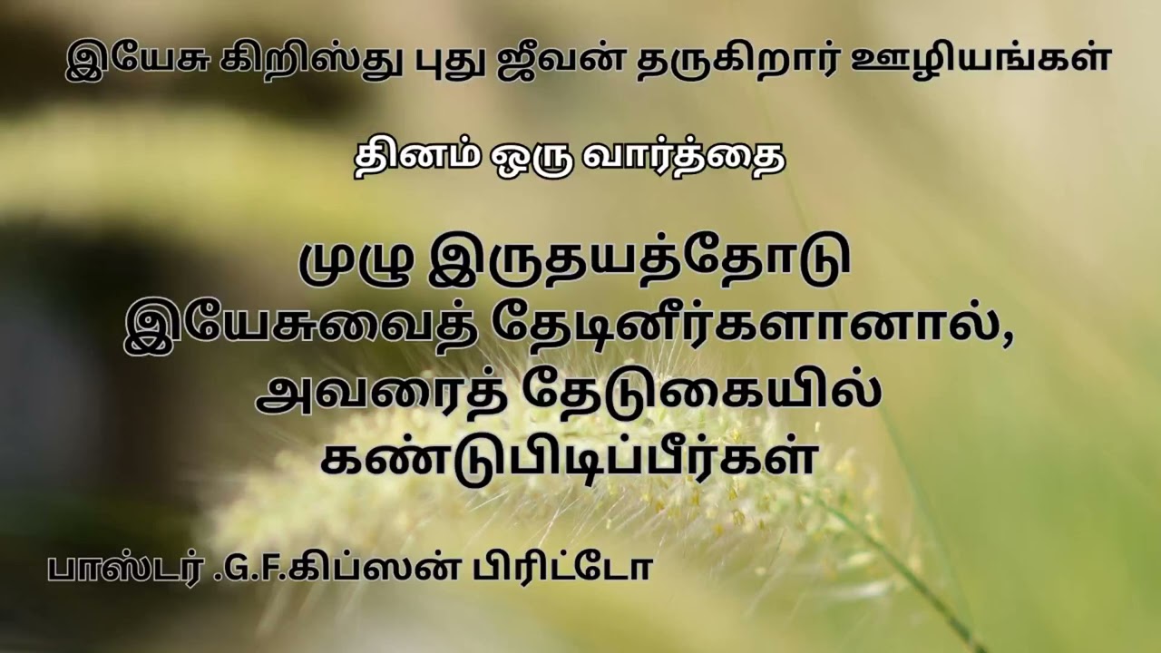 முழு இருதயத்தோடு இயேசுவைத் தேடினீர்களானால் அவரைத் தேடுகையில் கண்டுபிடிப்பீர்கள்