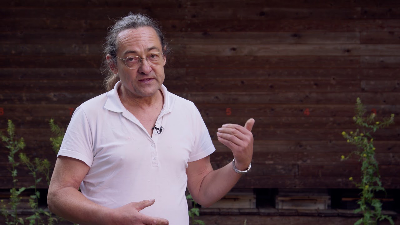 Gernot Griesbach, Imker an der Gartenarbeitsschule Berlin Tempelhof Schöneberg