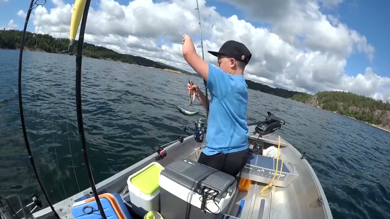 Test makrill