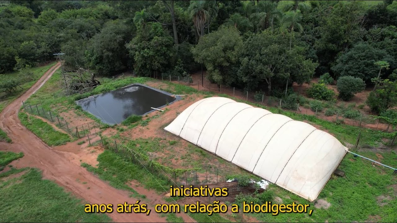 Geração De Energia a Biogás | MWM, trazendo rentabilidade e independência ao produtor.