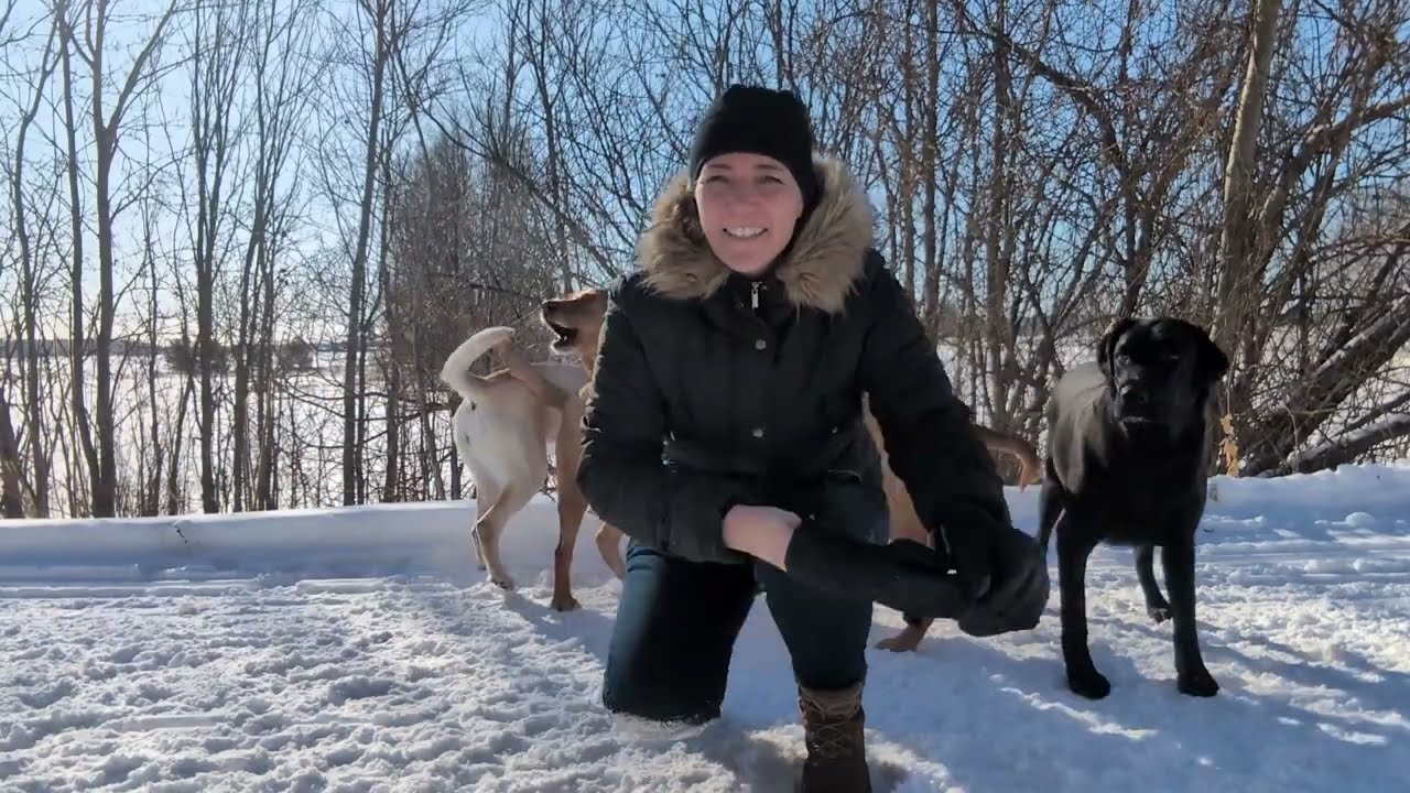 Snow Trail Exploration with My Dogs | Calm Winter Walk