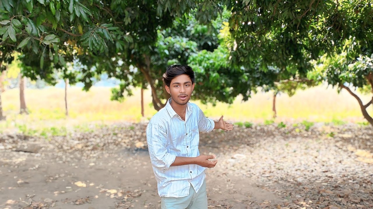 I will visit the litchi orchard🤔।#2026viralvideo 