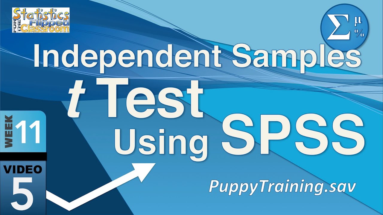 How to do an Independent Samples t Test in SPSS (11-5)