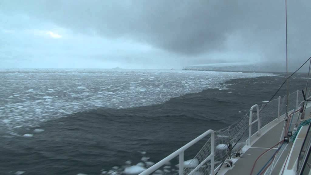 Fleur Australe : Navigation extrême en Antarctique