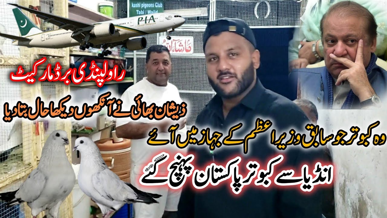 Rawalpindi kabootar Market || India Se Kabootar Kaisey Ponchey Pakistan || June 30, 2025