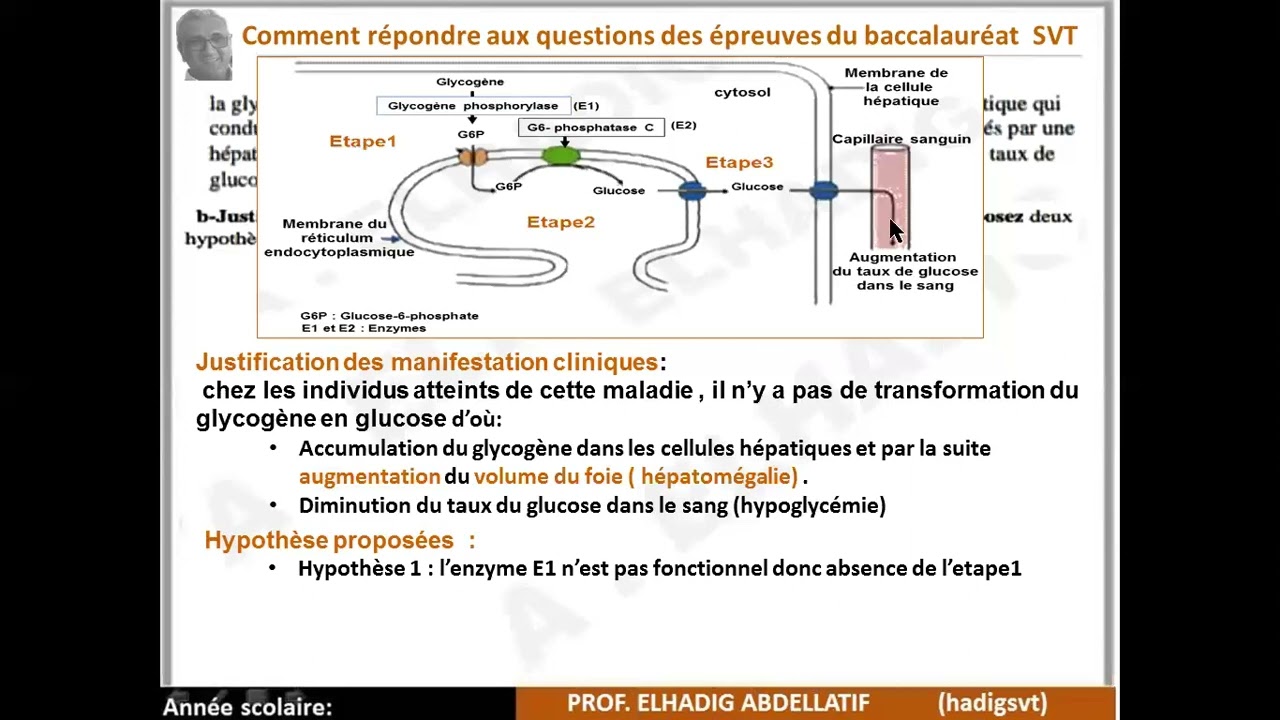 Correction exercice muscle et ATP