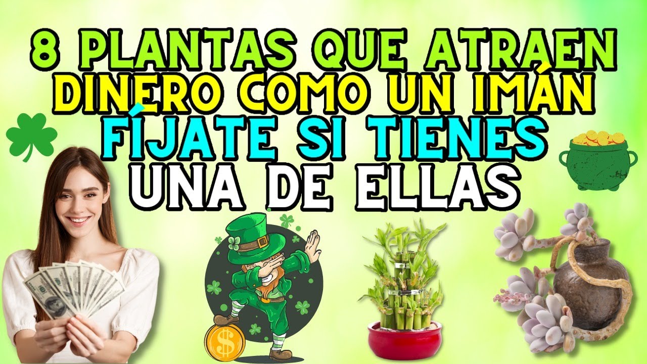 8 Plantas que Atraen Dinero Como un Im&aacute;n - F&iacute;jate si tienes una de ellas