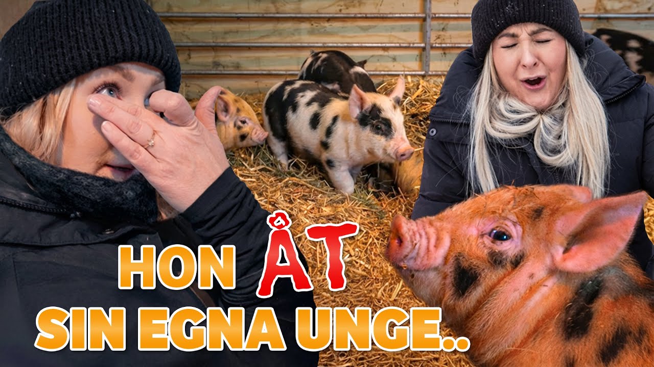 Ingen bra start på året.. 😣 | VLOGG 