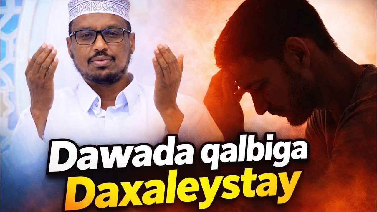 DAWADA QALBIGA DAXALEYSTAY || DHIRAGALIN SH MUSTAF HAJI ISMACIIL 