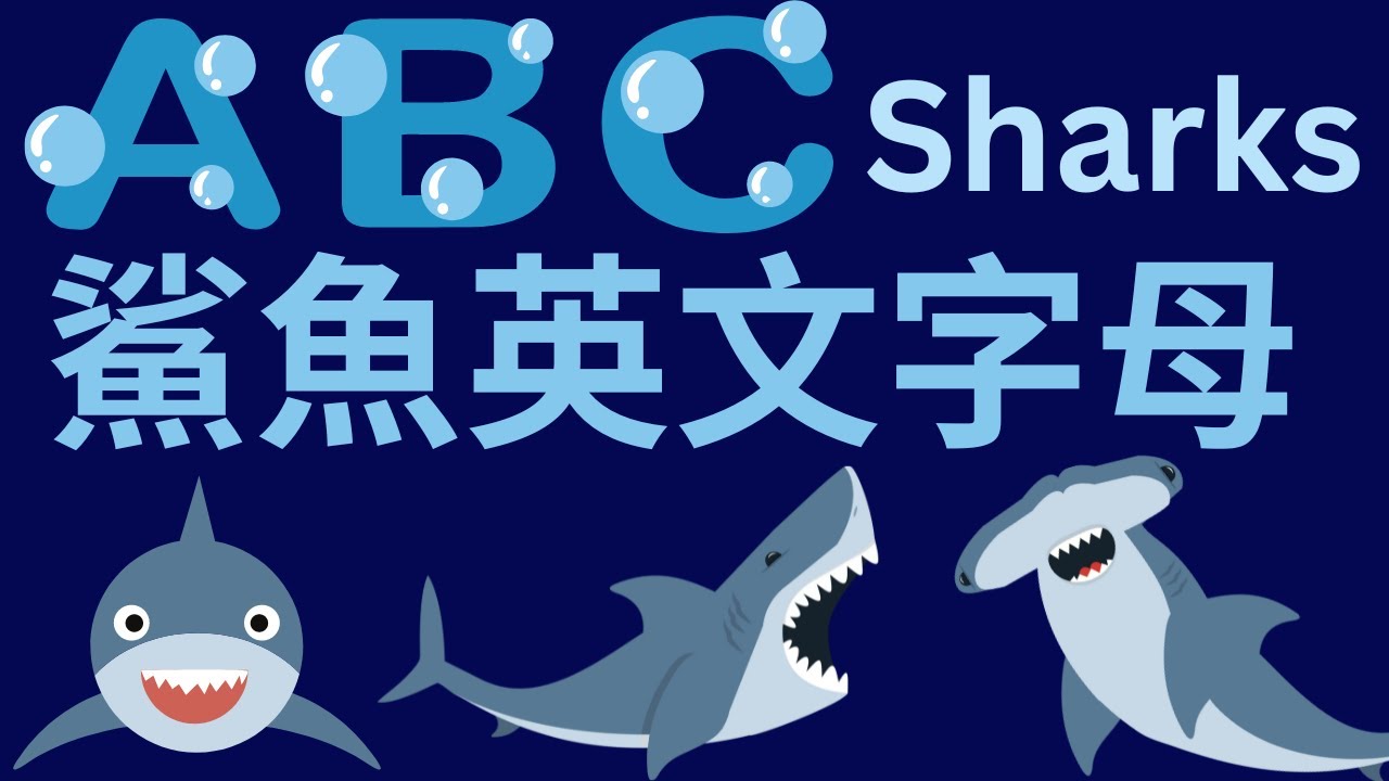 鯊魚 ABC | 寶寶英語教學｜幼兒英文字母發音｜兒童英文學習｜中英文單字｜雙語教育｜Shark Alphabet | Shark ABC