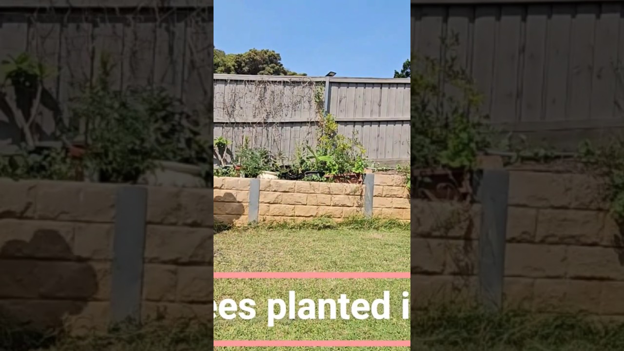 What were your goals for 2024? 