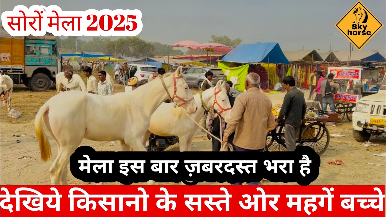 सोरों घोड़े 🐎 मेले में रोड पर बिक रहे घोड़े | #Soromela2025