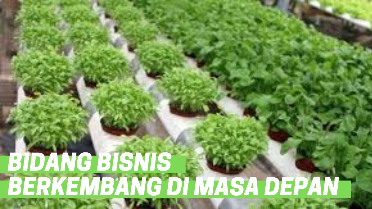 4 Bidang Bisnis Yang Akan Berkembang Di Masa Depan