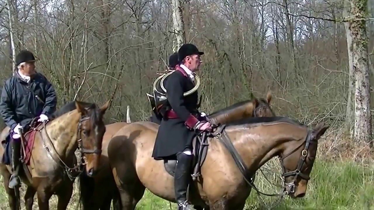 Chasse à courre au sanglier par Le Vautrait de la Vallée Brune 2016 HD