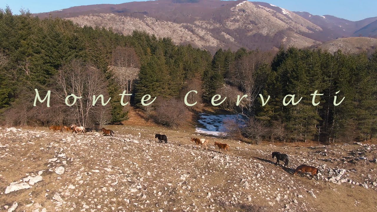 Monte Cervati [4K]