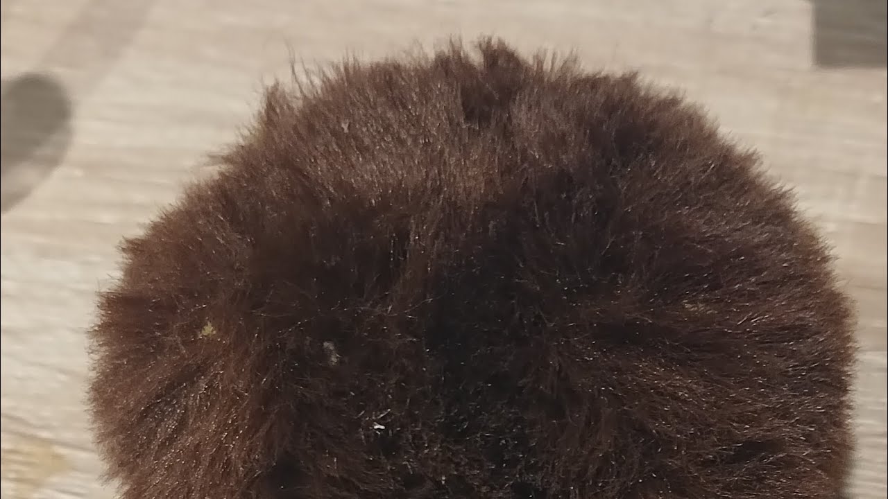 Fuzz asmr for uh sleep and relaxation